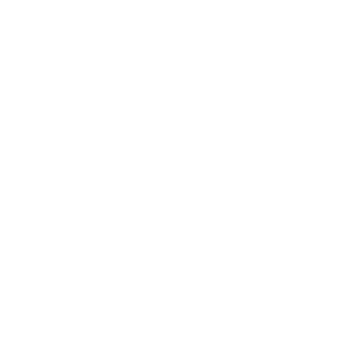 Verified by Visa
