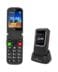 Feature Phone Powertech Sentry 4G Dual-Sim Black EU