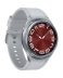 Samsung Galaxy Watch6 Classic (R955 2023) 43mm LTE Silver EU
