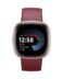 Google Pixel Watch Fitbit Versa 4 Copper Rose EU