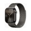Apple Watch (Series 10 2024) Gps +Cellular 46mm Slate Titan με Slate Milanese Loop M/L EU