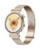 Huawei Watch GT6 41mm (Konsu-B19M) Gold EU