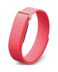 Google Pixel Watch Fitbit Air Berry EU