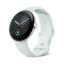 Google Pixel Watch 5 BT 45mm Fog EU